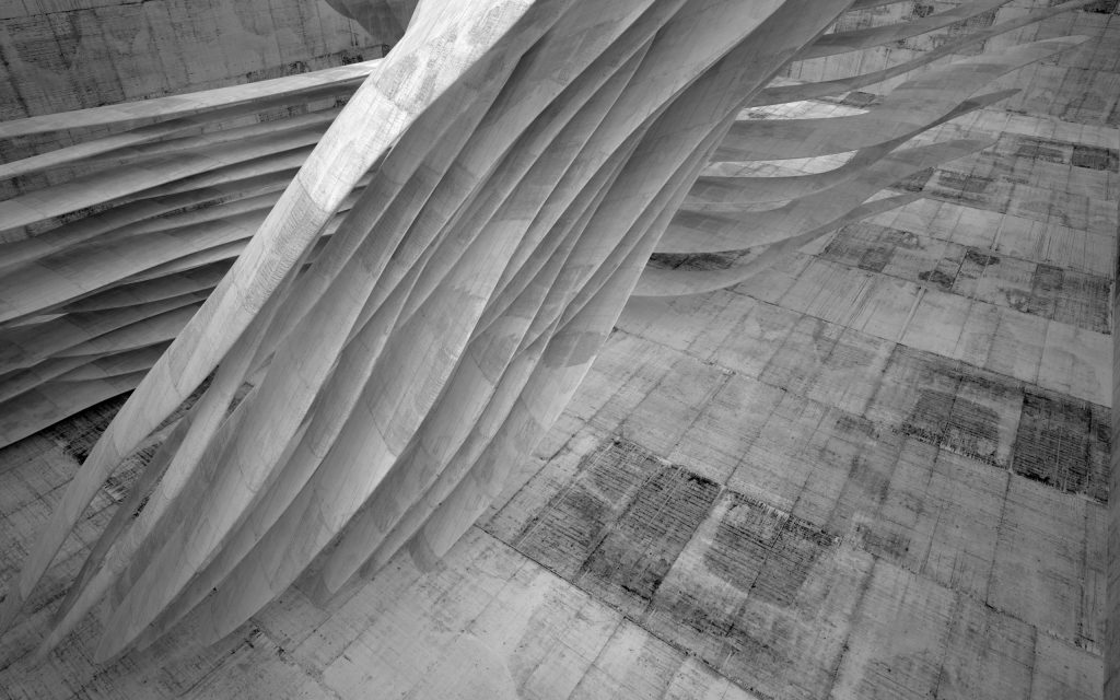 shutterstock_684702523_BW